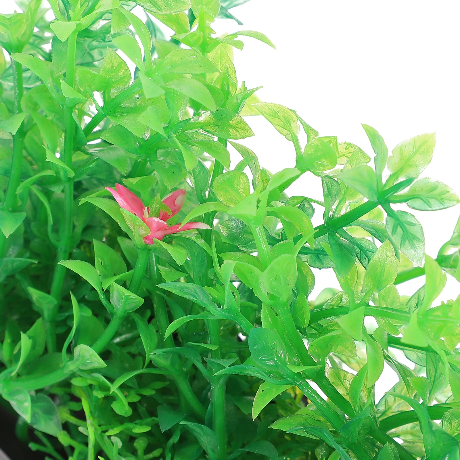 3pcs Green Plastic Aquarium Plants Decorations Safe Artificial Fish Tank Accessories Realistic Tropical nament
3pcs Green Plastic Aquarium Plants Decorations Safe Artificial Fish Tank Accessories Realistic Tropical nament