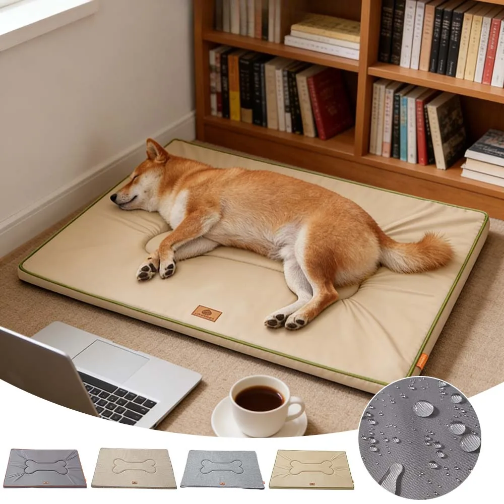 1PC Waterproof Oxford Pet Sleeping Bed Washable Kennel Mat for Small Medium Dogs Cats Four Seasons Pet Cushion Cuccia Cani 강아지방석
1PC Waterproof Oxford Pet Sleeping Bed Washable Kennel Mat for Small Medium Dogs Cats Four Seasons Pet Cushion Cuccia Cani 강아지방석