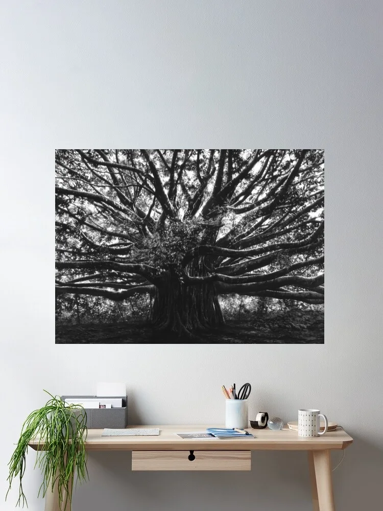 6Style Choose Longo_AxisMundi Canvas POSTER - Home Decor Wall Art Painting
6Style Choose Longo_AxisMundi Canvas POSTER - Home Decor Wall Art Painting