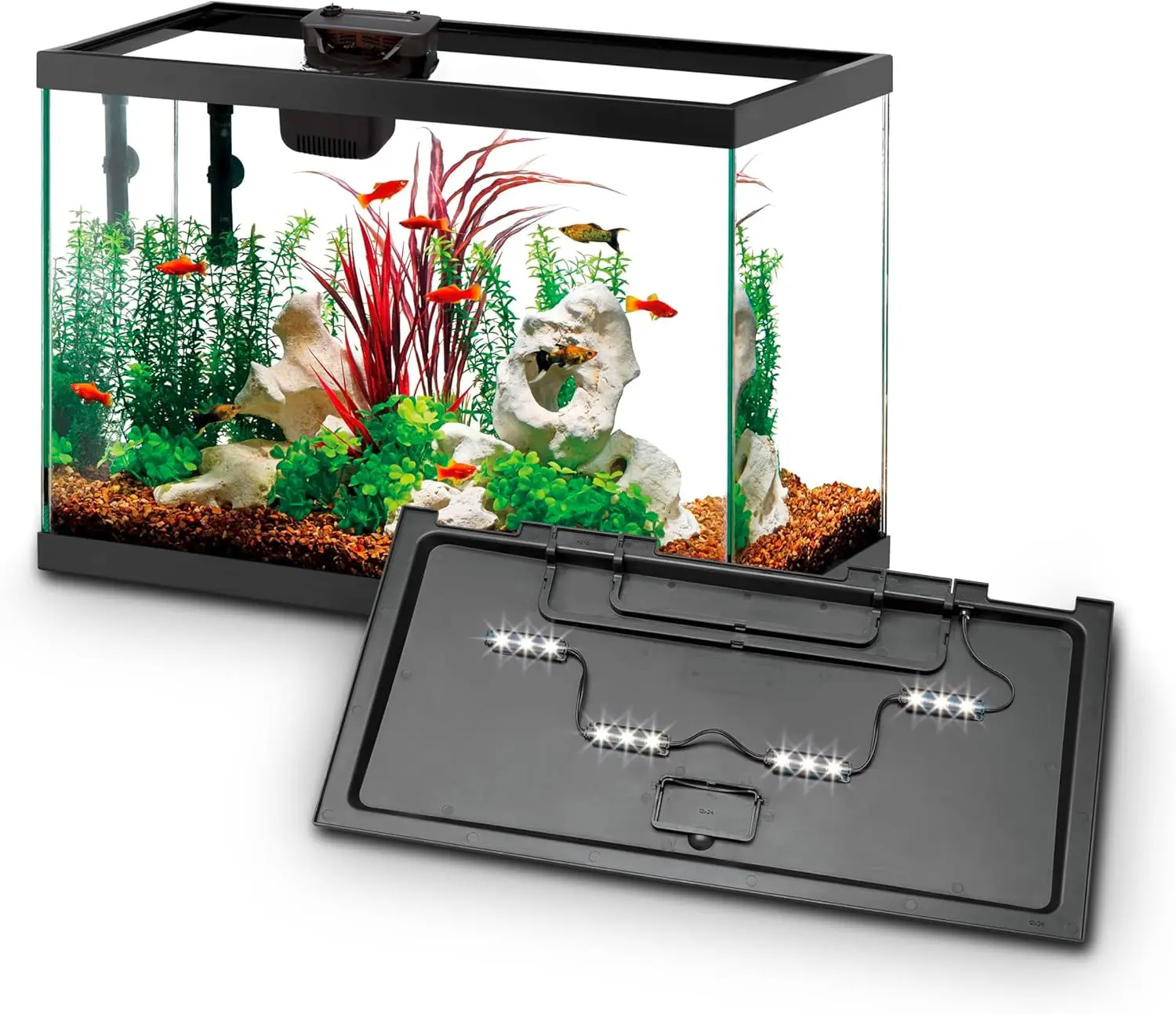 Complete 20-Gallon Aquarium Starter Kit with LED Lighting & Smart Filter for Freshwater & Saltwater Fish
Complete 20-Gallon Aquarium Starter Kit with LED Lighting & Smart Filter for Freshwater & Saltwater Fish