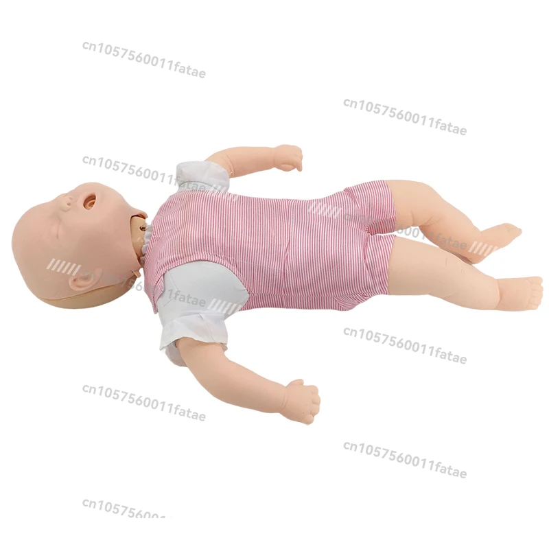 Infant Airway Obstruction and CPR Model/Infant Infarction Simulation Human/cardiopulmonary Resuscitation Model
Infant Airway Obstruction and CPR Model/Infant Infarction Simulation Human/cardiopulmonary Resuscitation Model