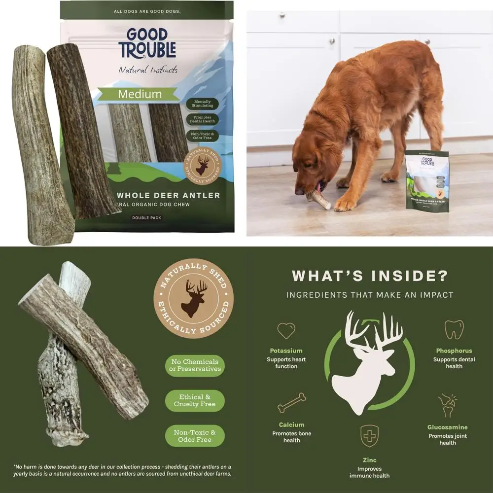 Оленячие рога средней собаки для здоровья зубов и облегчения тревоги, североамериканские фирменные товары для домашних животных премиум-класса
Оленячие рога средней собаки для здоровья зубов и облегчения тревоги, североамериканские фирменные товары для домашних животных премиум-класса