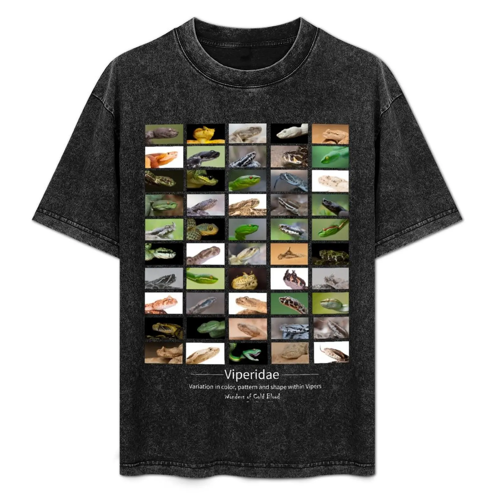 Variation of Vipers v2 - transparent background, white text T-Shirt Casual Breathable Short Sleeve Top
Variation of Vipers v2 - transparent background, white text T-Shirt Casual Breathable Short Sleeve Top
