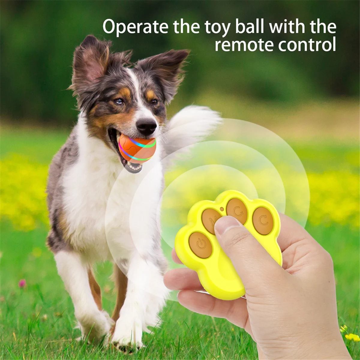A71P Interactive Dog ToysSmart Electric Pet Automatic Rolling Ball Cat Dog Toys for Puppies/Small to Medium Dog with Remote-C
A71P Interactive Dog ToysSmart Electric Pet Automatic Rolling Ball Cat Dog Toys for Puppies/Small to Medium Dog with Remote-C