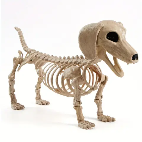 Esqueleto de Cão Salsicha de Halloween de 24 polegadas, de Plástico, Articulado, com Articulações Móveis, para Decorações de Cemitérios, Adereço de Casa Assombrada, Decoração de Festa, Decorações Assustadoras para Interiores e Exteriores, Centros de Mesa
