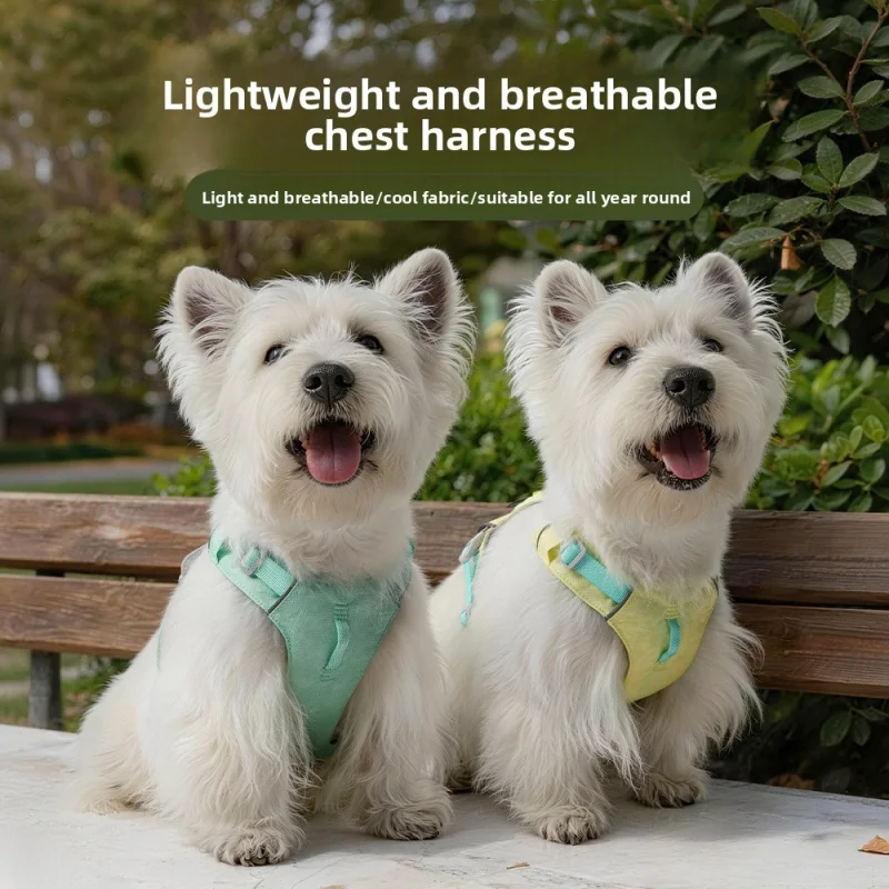 Ultra Lightweight & Breathable Dog Harness - No-Pull Reflective Vest for Comfort, Easy Walk for Medium/Large Dogs
Ultra Lightweight & Breathable Dog Harness - No-Pull Reflective Vest for Comfort, Easy Walk for Medium/Large Dogs