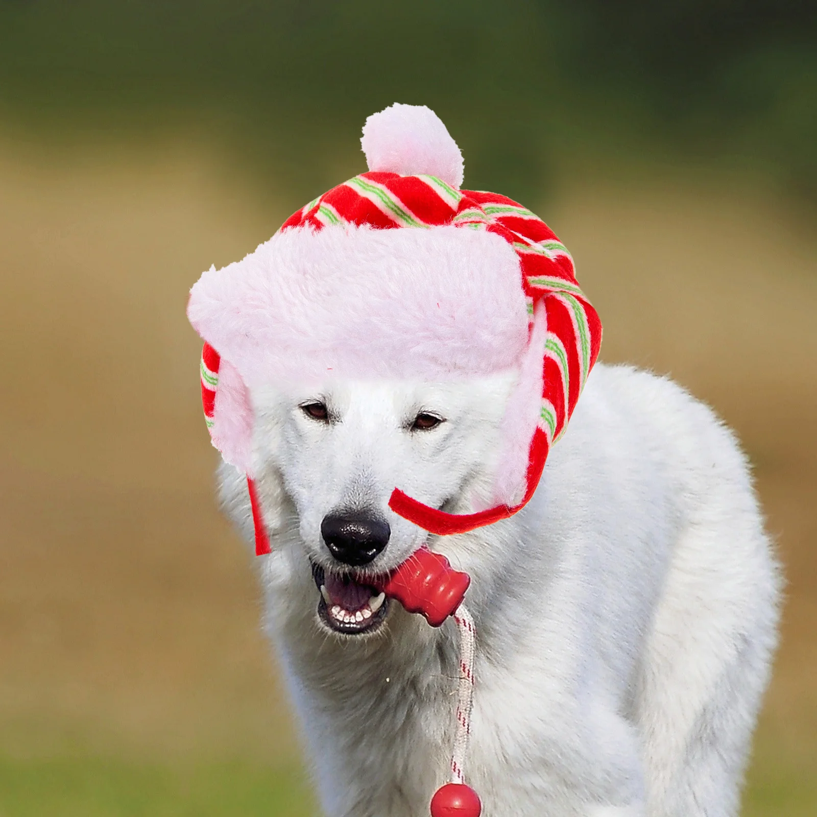 Cat Hat Christmas Dog with Pet Headwear Cute Has Winter Puppy Warm Adorable for
Cat Hat Christmas Dog with Pet Headwear Cute Has Winter Puppy Warm Adorable for