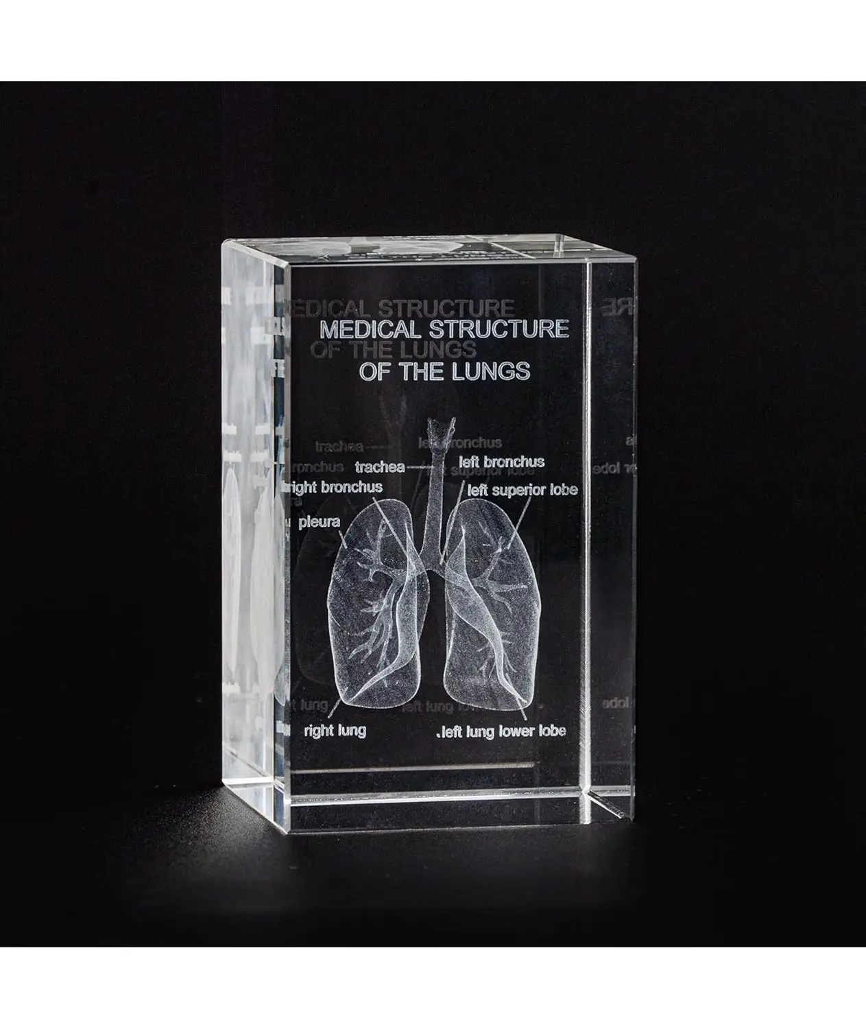 Ultrassist 3D Human Lung Crystal Model Laser Etched Anatomical Model Clearly Visible for Pulmonologists Home & Office Decoration
Ultrassist 3D Human Lung Crystal Model Laser Etched Anatomical Model Clearly Visible for Pulmonologists Home & Office Decoration