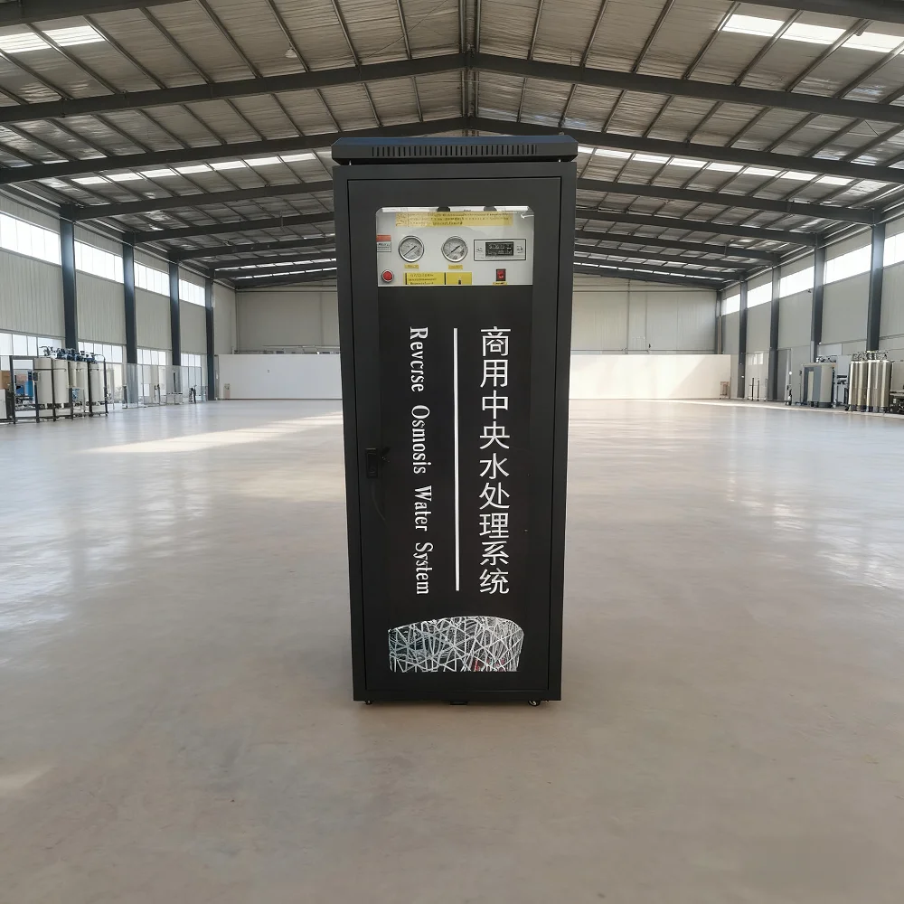 Mini RO Water Treatment System 250L/500L for Mineral Water Processing Plant
Mini RO Water Treatment System 250L/500L for Mineral Water Processing Plant