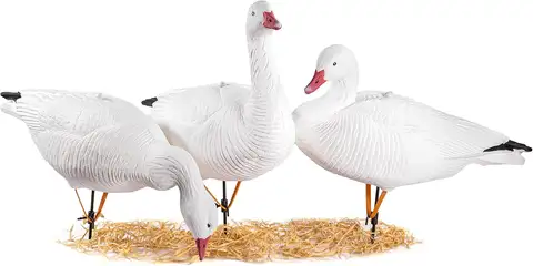 Ganzenlokvogels 6 stuks Populair nieuw materiaal EVA Opvouwbare plastic Ganzenjachtlokvogels Ganzenlokvogels Gemakkelijk mee te nemen en te gebruiken Kosten