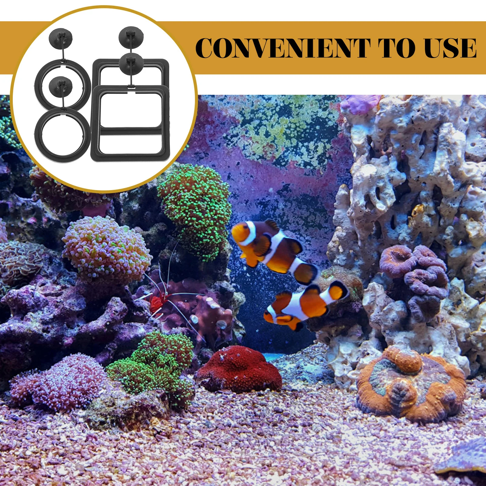 4Pcs Fish Feeding Rings Floating Durable Feeder Rings for Aquarium Tank Small Fish Shrimp Feeding Accessories Aquarium Circle
4Pcs Fish Feeding Rings Floating Durable Feeder Rings for Aquarium Tank Small Fish Shrimp Feeding Accessories Aquarium Circle