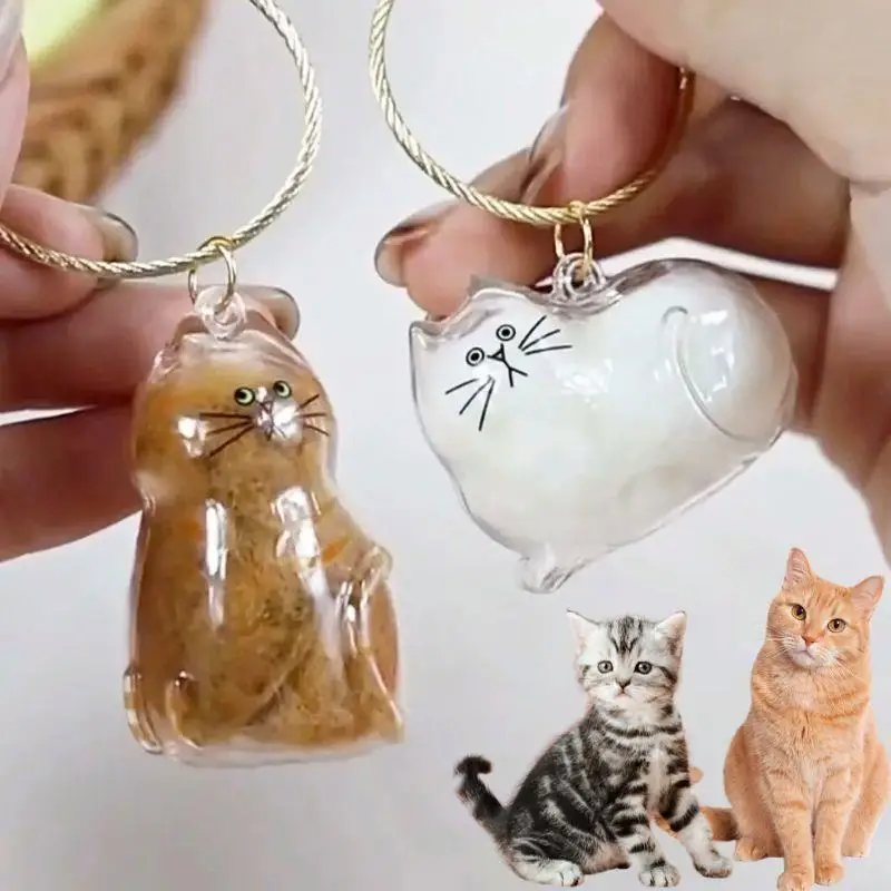 Ginger Cat Keychain Pendant Backpack Siamese Calico Hair Storage Box Hanging Transparent Pet Grooming Souvenir Travel Accessory
Ginger Cat Keychain Pendant Backpack Siamese Calico Hair Storage Box Hanging Transparent Pet Grooming Souvenir Travel Accessory