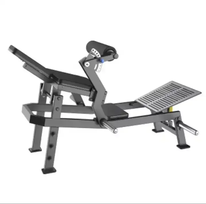 Multi-Function Steel Hip Thrust Machine Glute Drive Gym Equipment Hip Thrust Plate Loaded Hip Lift for Strength Training
Multi-Function Steel Hip Thrust Machine Glute Drive Gym Equipment Hip Thrust Plate Loaded Hip Lift for Strength Training