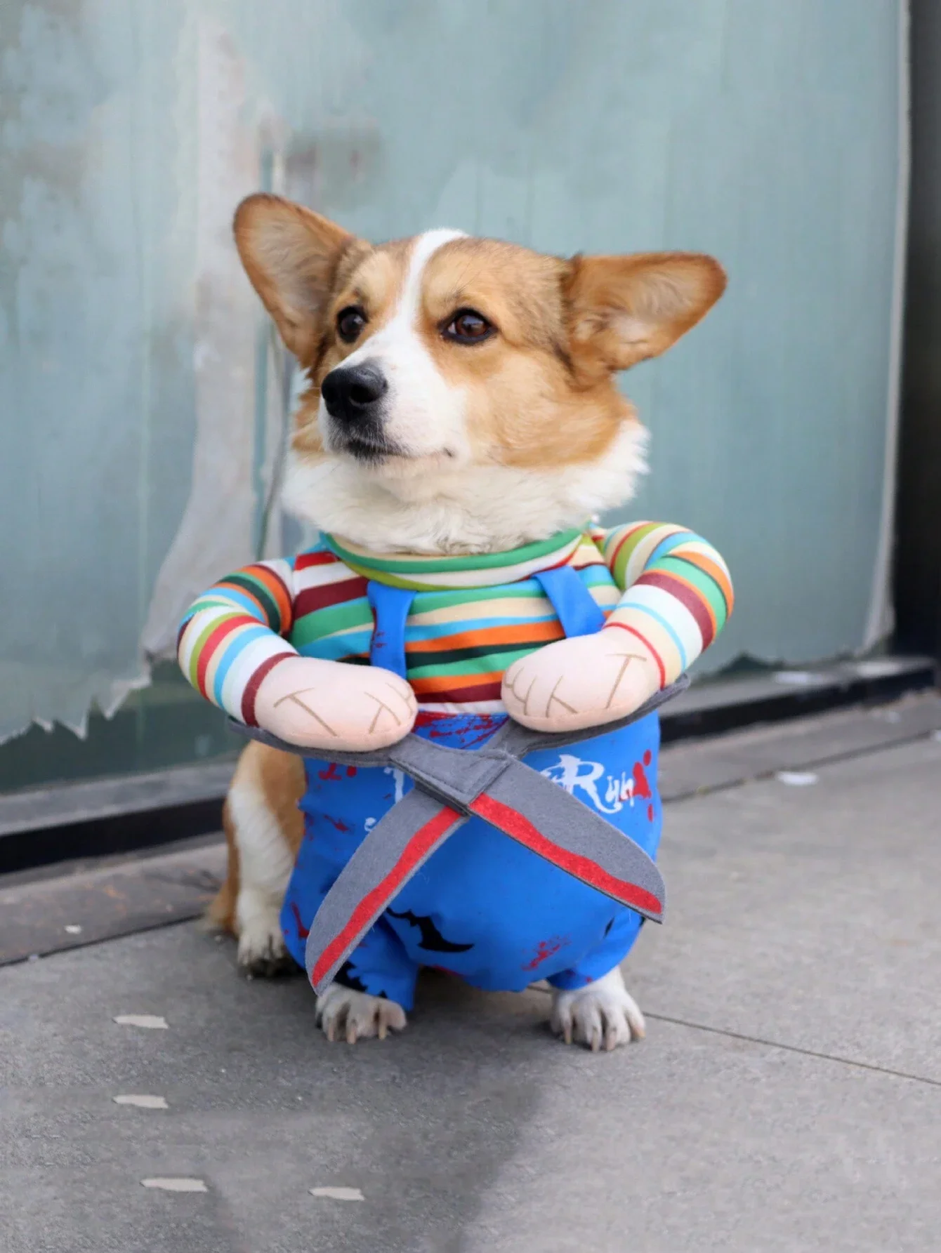 1pc Pet Halloween Dogs And Cats Scissors Style Doll Costume Pet Christmas Cosplay Adjustable Doll Funny Special Clothes Puppy Pa
1pc Pet Halloween Dogs And Cats Scissors Style Doll Costume Pet Christmas Cosplay Adjustable Doll Funny Special Clothes Puppy Pa