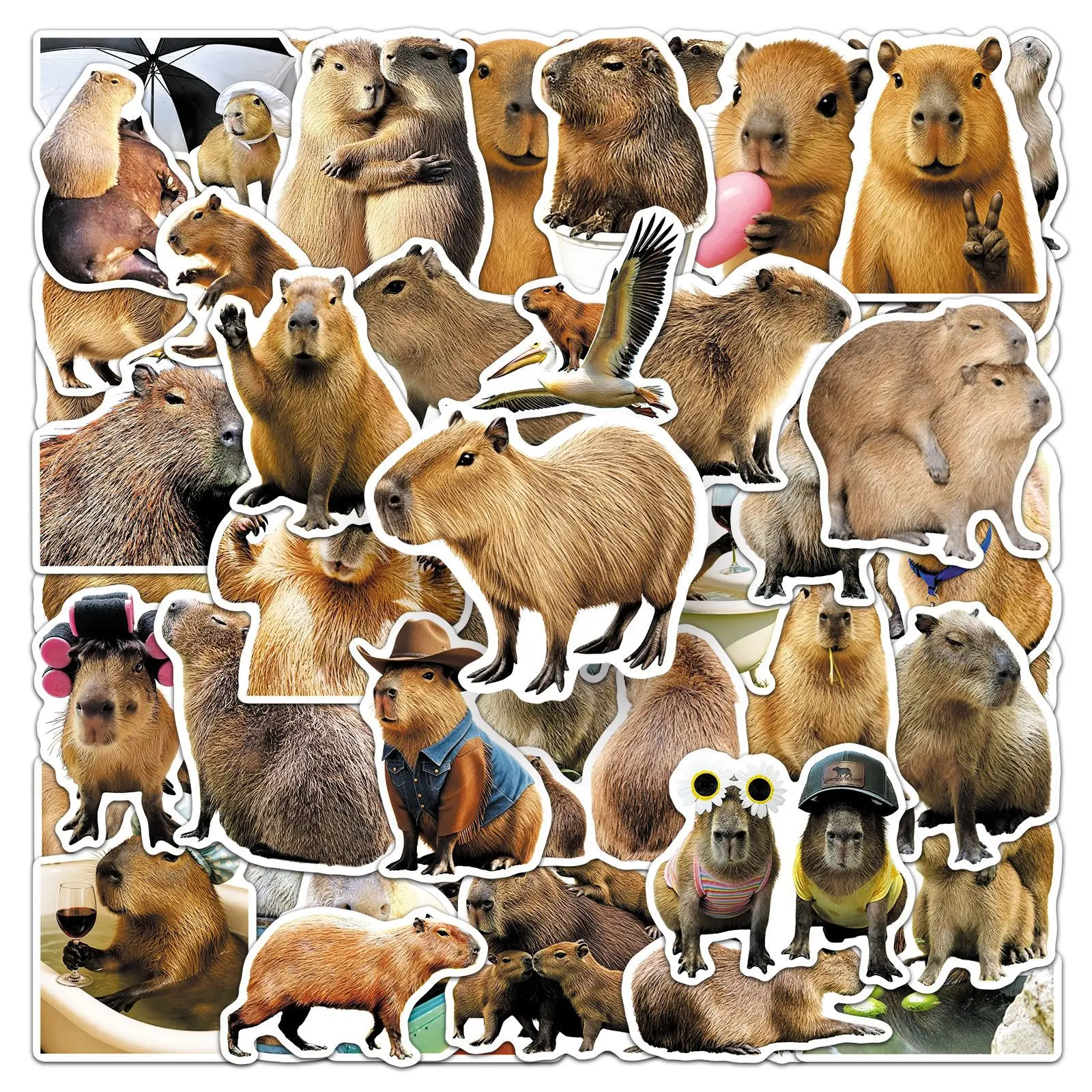 50-Pack Realistic Capybara Cartoon Stickers Waterproof Decorative Stickers for Guitar Fridge Helmet Notebook Stationery
50-Pack Realistic Capybara Cartoon Stickers Waterproof Decorative Stickers for Guitar Fridge Helmet Notebook Stationery