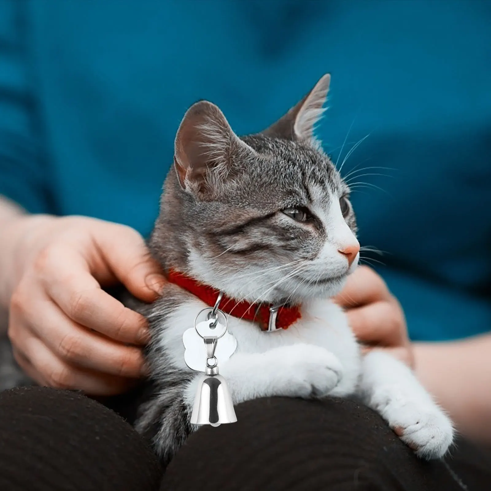 Durable Pet Collar Bell Cat Dog Hanging Bells Break Resistant Small Bell For Pets Wedding Decoration Diy Accessories Wind
Durable Pet Collar Bell Cat Dog Hanging Bells Break Resistant Small Bell For Pets Wedding Decoration Diy Accessories Wind