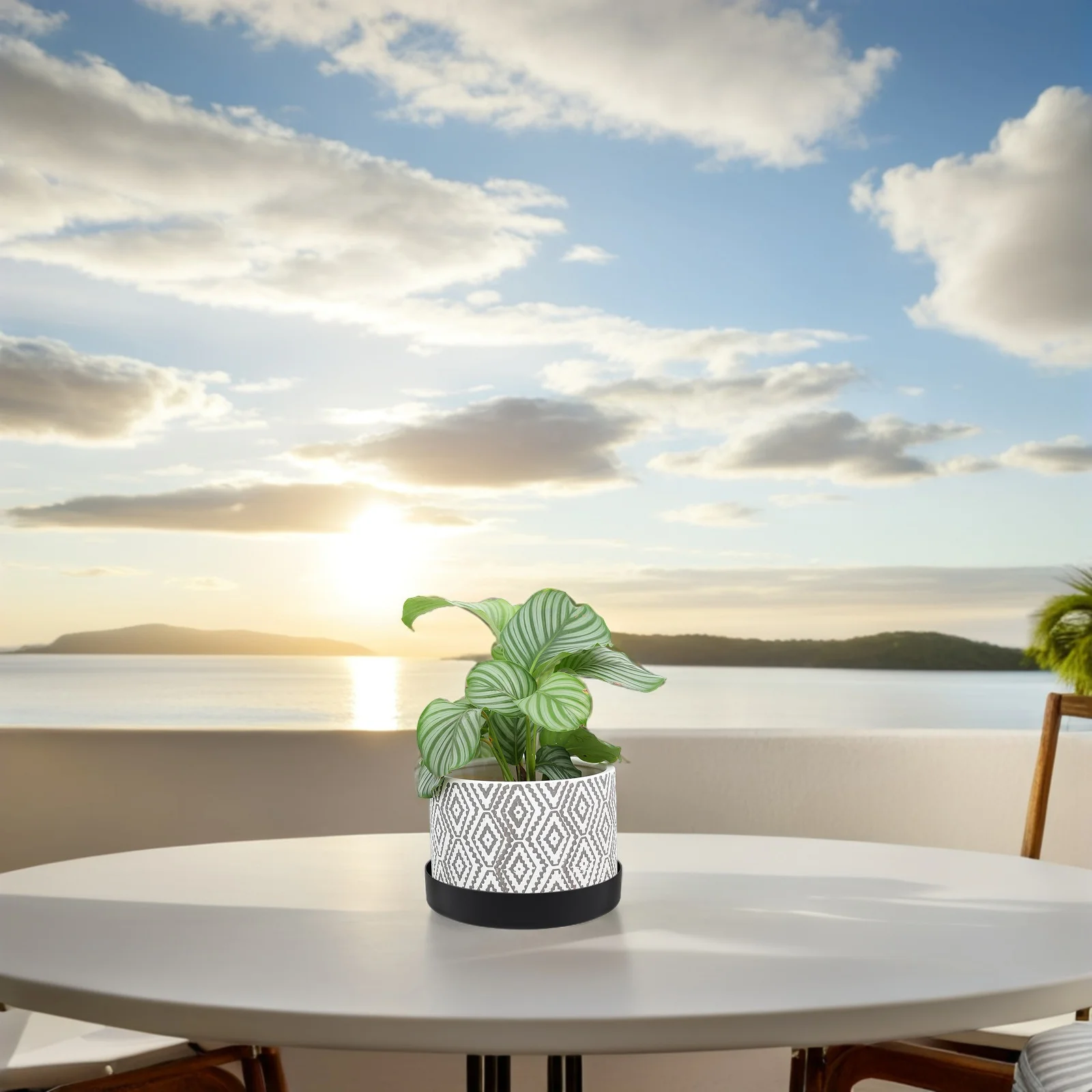 Golden Flower Pot Tray Large Capacity Plant Drainage Saucer Water Collector Stainless Steel Garden Use Easy Clean
Golden Flower Pot Tray Large Capacity Plant Drainage Saucer Water Collector Stainless Steel Garden Use Easy Clean