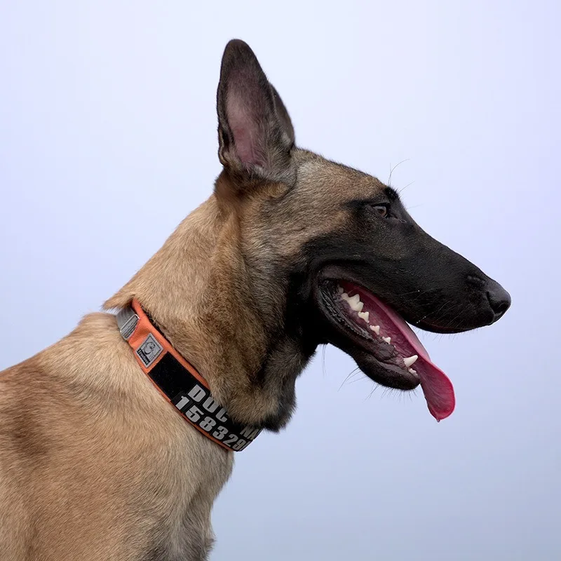 Pet Dog Collar Breathable Extended Comfortable Reflective Tear Resistant Dog Collars Strong and Durable Pet Products Supplies
Pet Dog Collar Breathable Extended Comfortable Reflective Tear Resistant Dog Collars Strong and Durable Pet Products Supplies