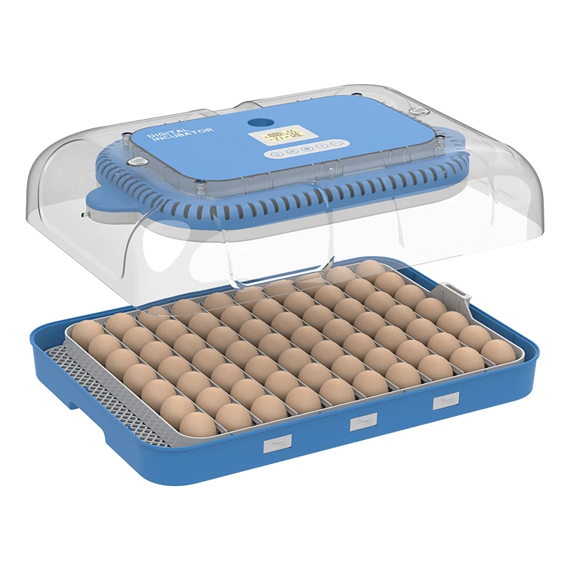 Full Automatic Dual Power 70 Egg Incubator Chicken Hatching Eggs Mini Incubators for Hatching Eggs
Full Automatic Dual Power 70 Egg Incubator Chicken Hatching Eggs Mini Incubators for Hatching Eggs