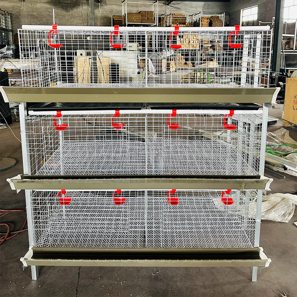 New H-Type Broiler Chicken Cage For Baby Broilers Cranked Chicken Breeding System With Manure Cleaning Features
New H-Type Broiler Chicken Cage For Baby Broilers Cranked Chicken Breeding System With Manure Cleaning Features