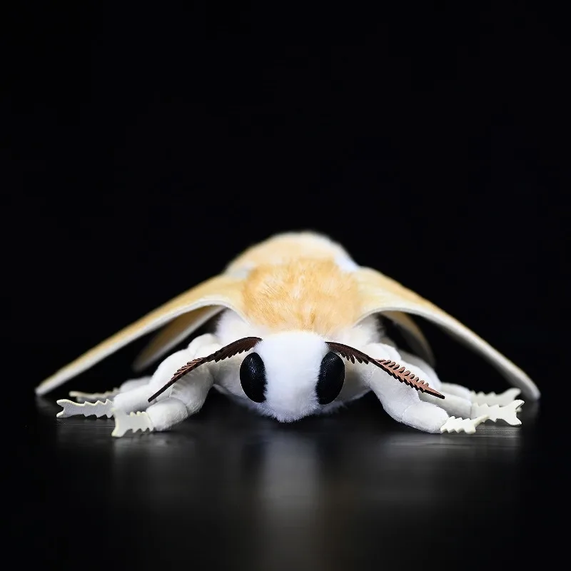 Original Insect Series Home Silkworm Moth Plush Toy Doll Moth Doll Lifelike Animals Simulation Stuffed Doll Kawaii Toy Gifts
Original Insect Series Home Silkworm Moth Plush Toy Doll Moth Doll Lifelike Animals Simulation Stuffed Doll Kawaii Toy Gifts