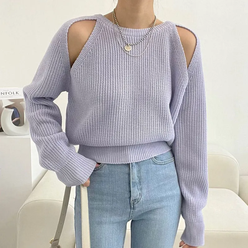 Chic Autumn Winter Women's Knitwear Soft round Ne Hollow out Design Long Sve Loose Fit Sweater Commute Sle Pure Color
Chic Autumn Winter Women's Knitwear Soft round Ne Hollow out Design Long Sve Loose Fit Sweater Commute Sle Pure Color
