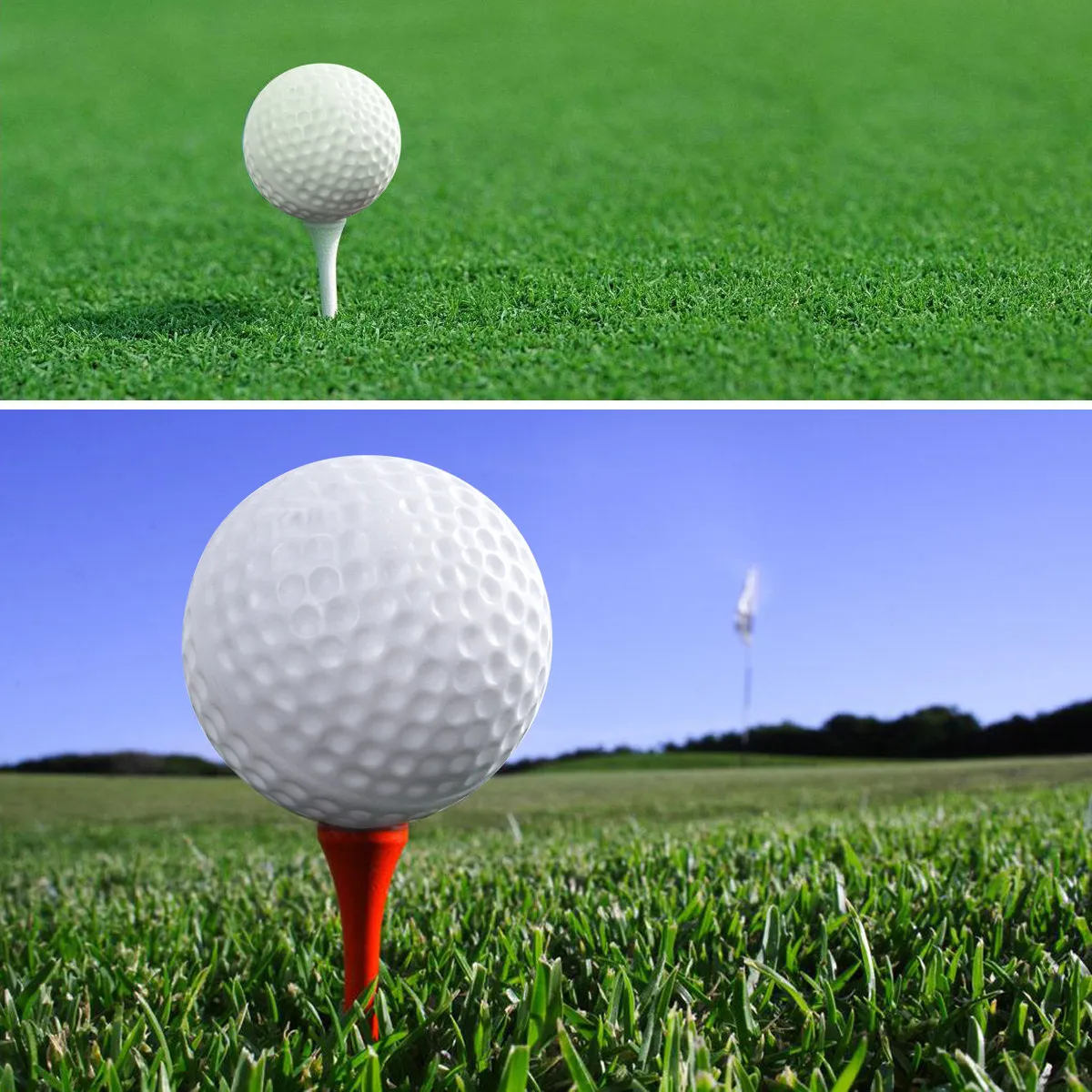10Pcs Plastic Golf Practice Balls Hollow Lightweight Indoor Swing Trainer Exercise Ball Accessories for Adults Beginners
10Pcs Plastic Golf Practice Balls Hollow Lightweight Indoor Swing Trainer Exercise Ball Accessories for Adults Beginners