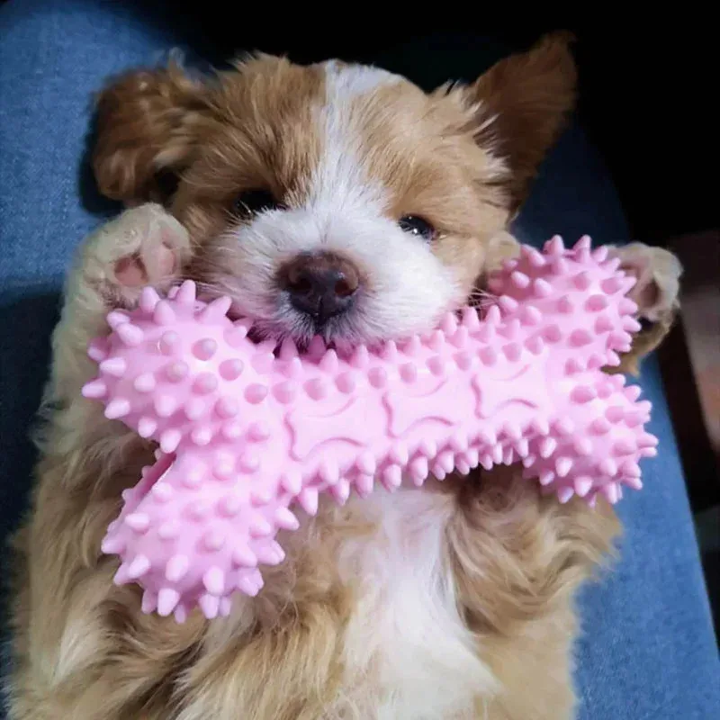 Indestructible Dog Toys For Small Dogs Teeth Cleaning Chew Toys For Aggressive Chewers Puppy Training Toys Durable Rubber
Indestructible Dog Toys For Small Dogs Teeth Cleaning Chew Toys For Aggressive Chewers Puppy Training Toys Durable Rubber