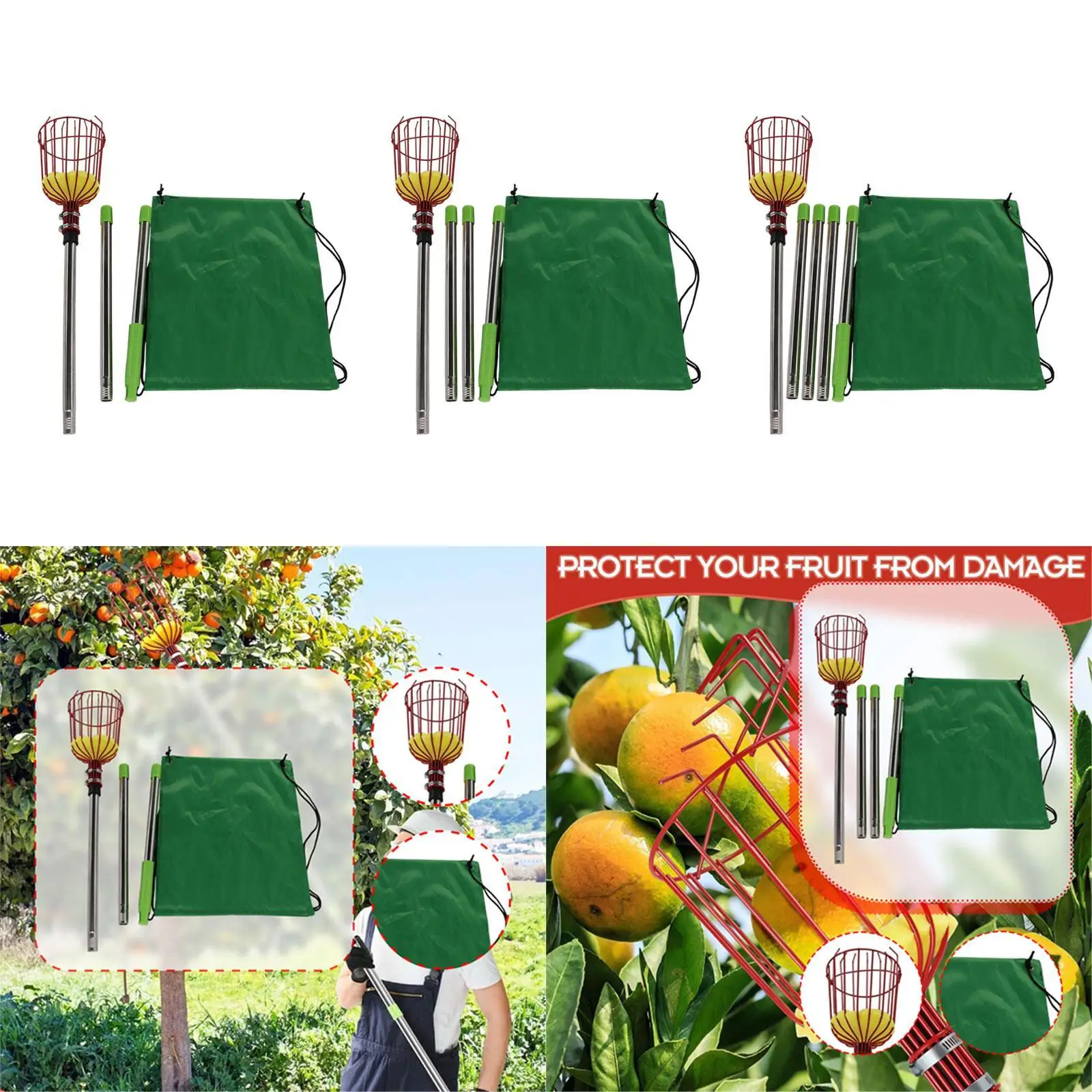 Сборщик фруктов с корзиной, легко прикрепляемый, с удлиненной ручкой, портативный сборщик фруктовых деревьев для Fig Guavas Chery Mango Lemon
Сборщик фруктов с корзиной, легко прикрепляемый, с удлиненной ручкой, портативный сборщик фруктовых деревьев для Fig Guavas Chery Mango Lemon