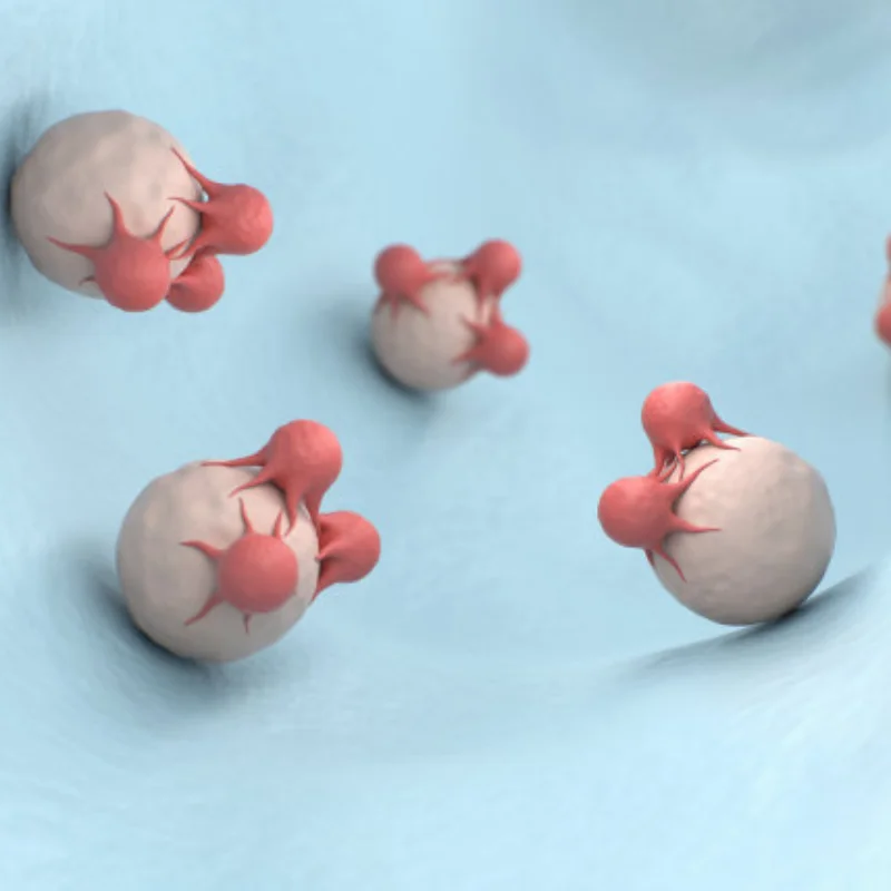 4PCS Metal 1.9 Beadlock Wheel Rim Hub for 1/10 Trxs Hsp Redcat Rc4wd WRAITH Tamiya Axial SCX10 D90 HPI RC Car Spare Part 
4PCS Metal 1.9 Beadlock Wheel Rim Hub for 1/10 Trxs Hsp Redcat Rc4wd WRAITH Tamiya Axial SCX10 D90 HPI RC Car Spare Part