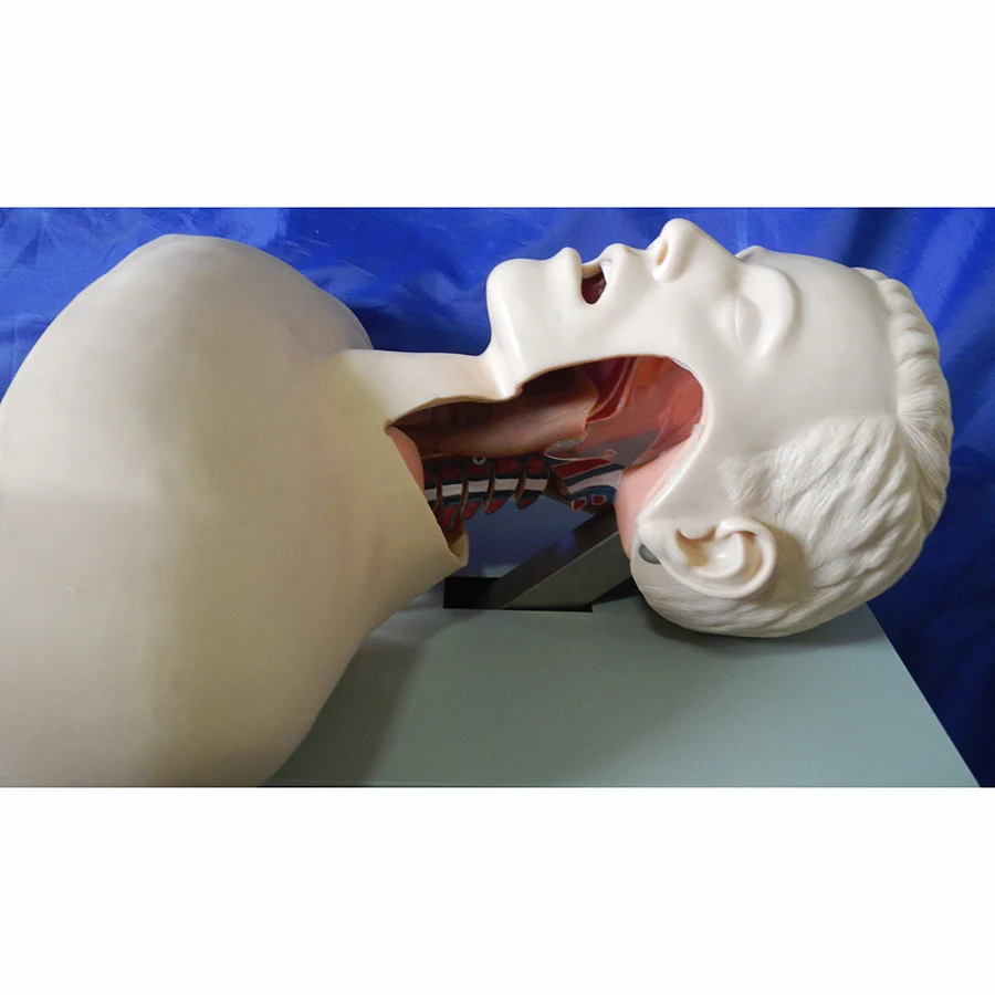 Electronic Tracheal Intubation Training Manikin, Oral and Nasal Intubation Trainer Model
Electronic Tracheal Intubation Training Manikin, Oral and Nasal Intubation Trainer Model