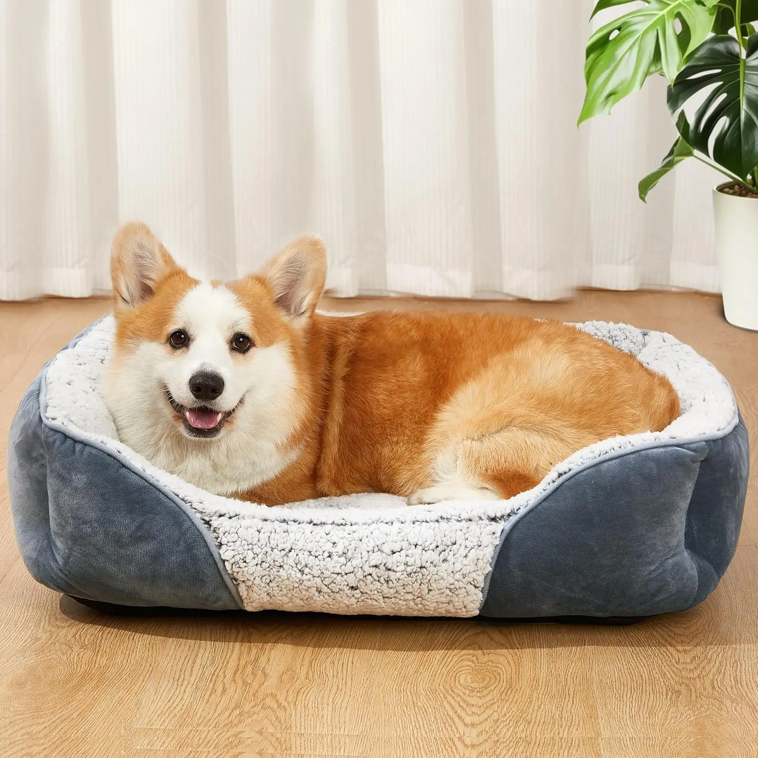 Dog Beds Small Medium Large Size Dog, Cat Beds For Indoor Cats Washable, Rec Calming Sleeping Warming Orthopedic Puppy Dog
Dog Beds Small Medium Large Size Dog, Cat Beds For Indoor Cats Washable, Rec Calming Sleeping Warming Orthopedic Puppy Dog