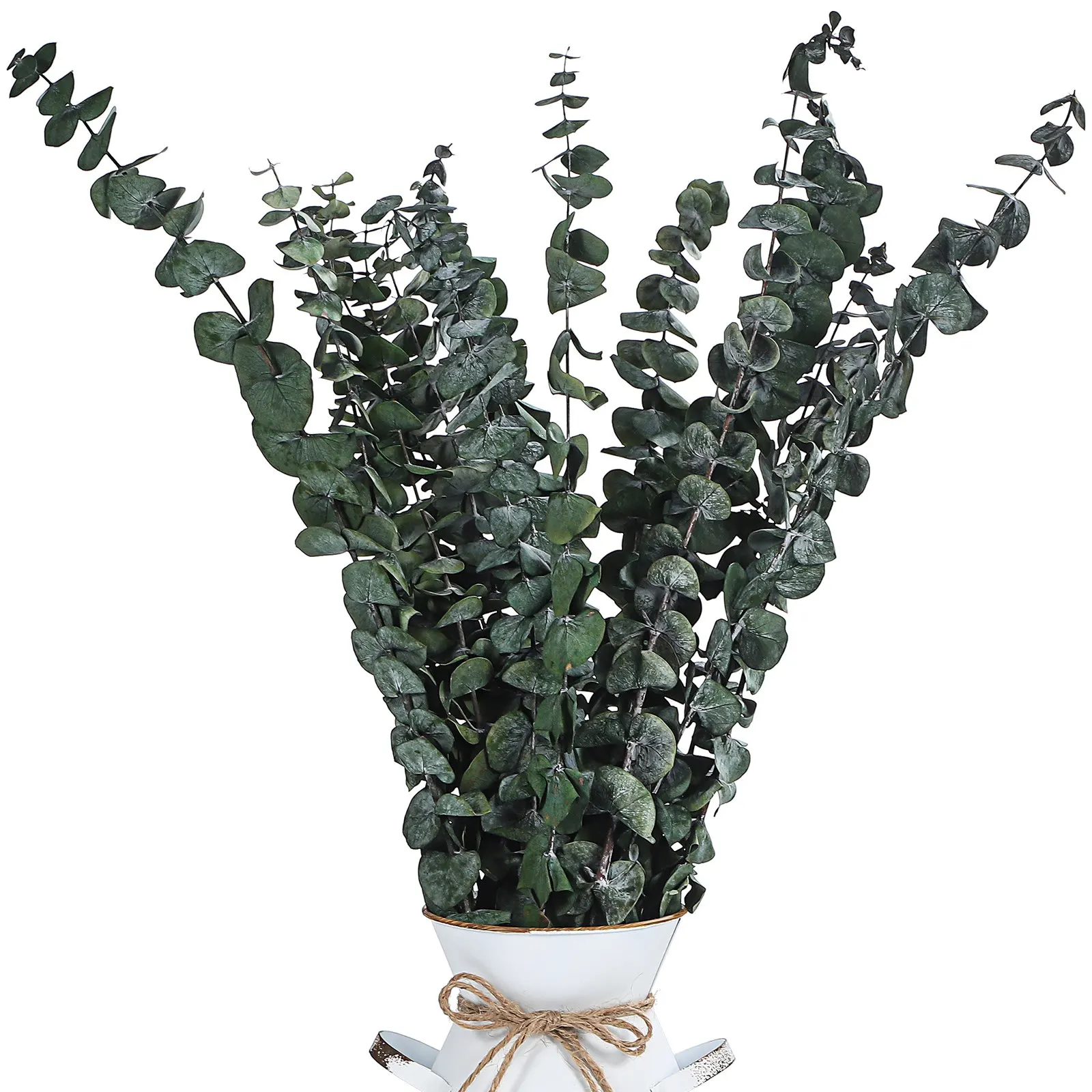 20 Pcs Eucalyptus Leaves Green 40 60cm Artificial Stems Dried Plants Home Decor Shower Hanging Long Lasting Preservation
20 Pcs Eucalyptus Leaves Green 40 60cm Artificial Stems Dried Plants Home Decor Shower Hanging Long Lasting Preservation