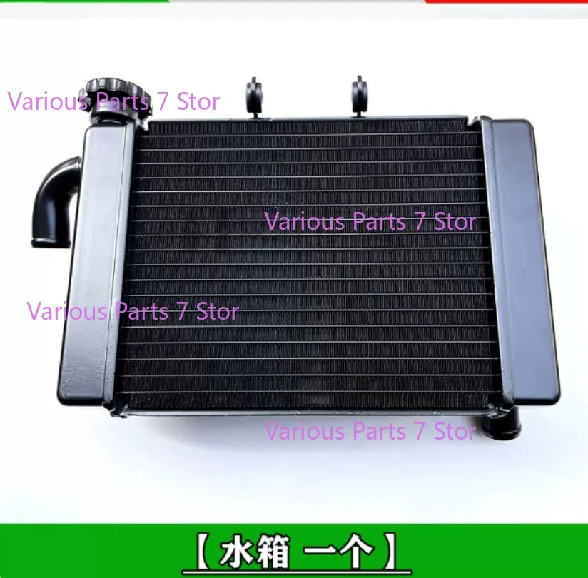 Motorcycle Engine Radiator Cooler Cooling Water Tank for Benelli BJ300GS BN302 TNT300
Motorcycle Engine Radiator Cooler Cooling Water Tank for Benelli BJ300GS BN302 TNT300