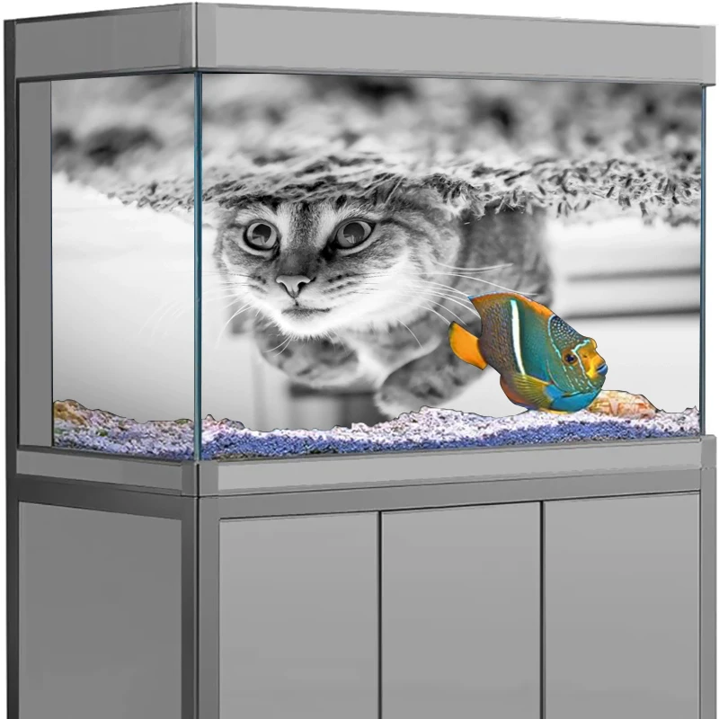 Fish Tank Decor Aquarium Background Sticker Animal Printing Wallpaper Fish Tank Backdrop Decorations PVC aquarium accesories
Fish Tank Decor Aquarium Background Sticker Animal Printing Wallpaper Fish Tank Backdrop Decorations PVC aquarium accesories
