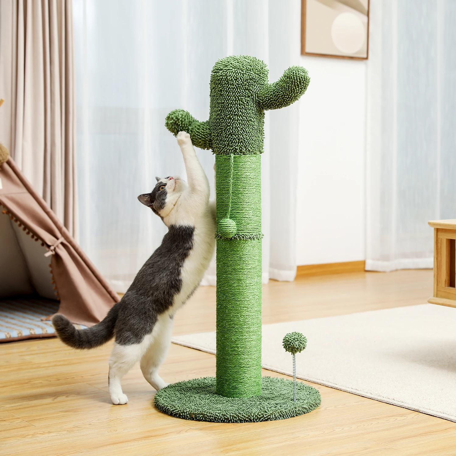 Cactus Cat Stratcher with Ball Indoor Natural Sisal Thick Durable Stable Cat Sctratching Posts for Kitten 2 Colors Climbing Toys
Cactus Cat Stratcher with Ball Indoor Natural Sisal Thick Durable Stable Cat Sctratching Posts for Kitten 2 Colors Climbing Toys