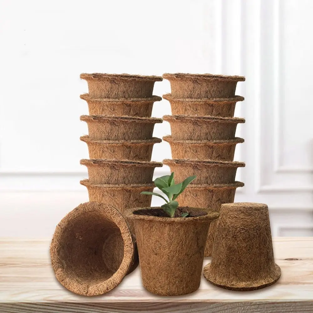 3pcs Natural Plant Seedling Cups Coconut Fiber Biodegradable Nursery Pots Breathable Plant Containers Pots
3pcs Natural Plant Seedling Cups Coconut Fiber Biodegradable Nursery Pots Breathable Plant Containers Pots