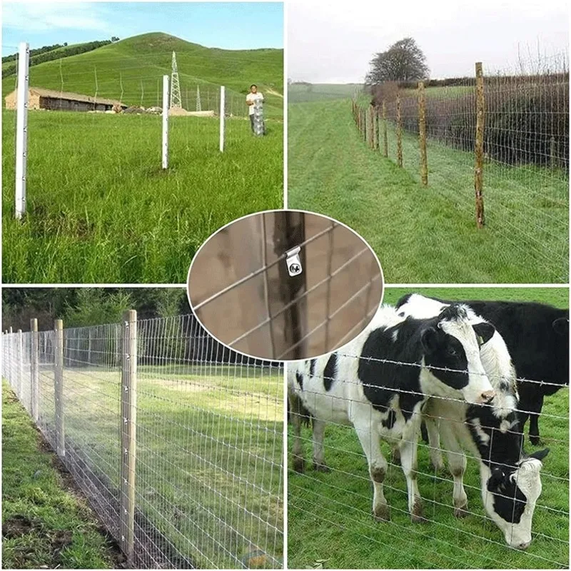 Набор промышленных зажимов для проволочных ограждений для животноводства - 600 штук алюминиевых зажимов с винтами - B91B
Набор промышленных зажимов для проволочных ограждений для животноводства - 600 штук алюминиевых зажимов с винтами - B91B