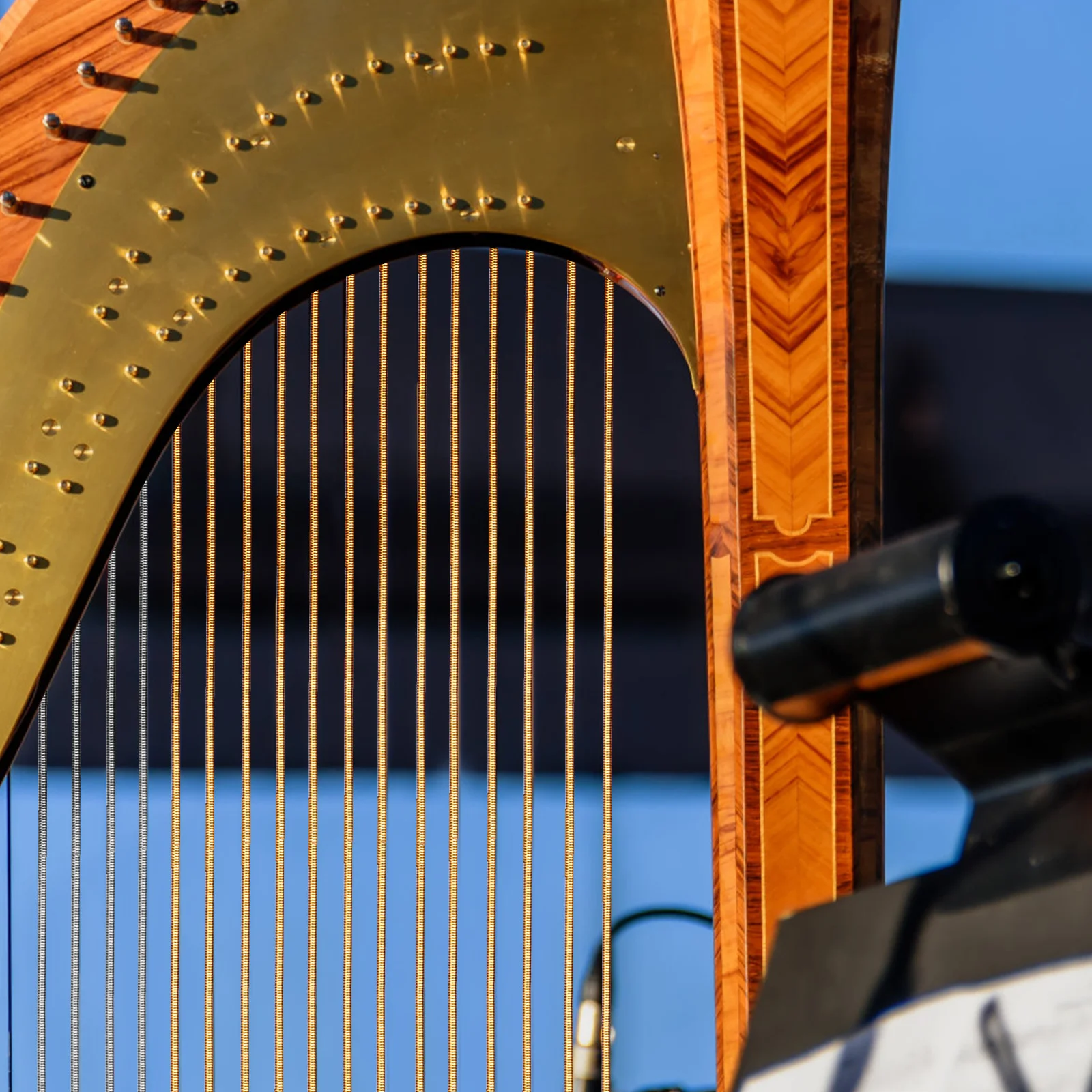 10Pcs Lyre Strings Steel Durable Professional Set Practical Replacement Kit Full Set Lyre Accessories String Replacement
10Pcs Lyre Strings Steel Durable Professional Set Practical Replacement Kit Full Set Lyre Accessories String Replacement