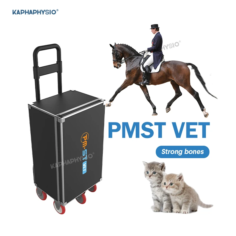PMST Vet EMTT PEMF-терапия, лечение лошадей, расслабление мышц, 4, машина для физиотерапии Tesla
PMST Vet EMTT PEMF-терапия, лечение лошадей, расслабление мышц, 4, машина для физиотерапии Tesla