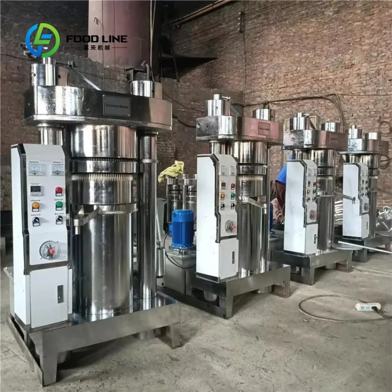 Hot Sale Hydraulic Oil Press Extraction Machine Customized
Hot Sale Hydraulic Oil Press Extraction Machine Customized