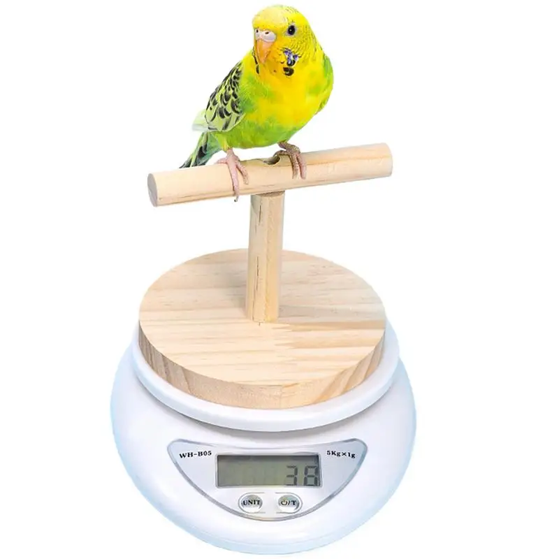 Bird Weight Scale Parrot Training Bird Small Animal Scale With Perch High Accuracy Convenient Digital Weighing Tool For Weight
Bird Weight Scale Parrot Training Bird Small Animal Scale With Perch High Accuracy Convenient Digital Weighing Tool For Weight