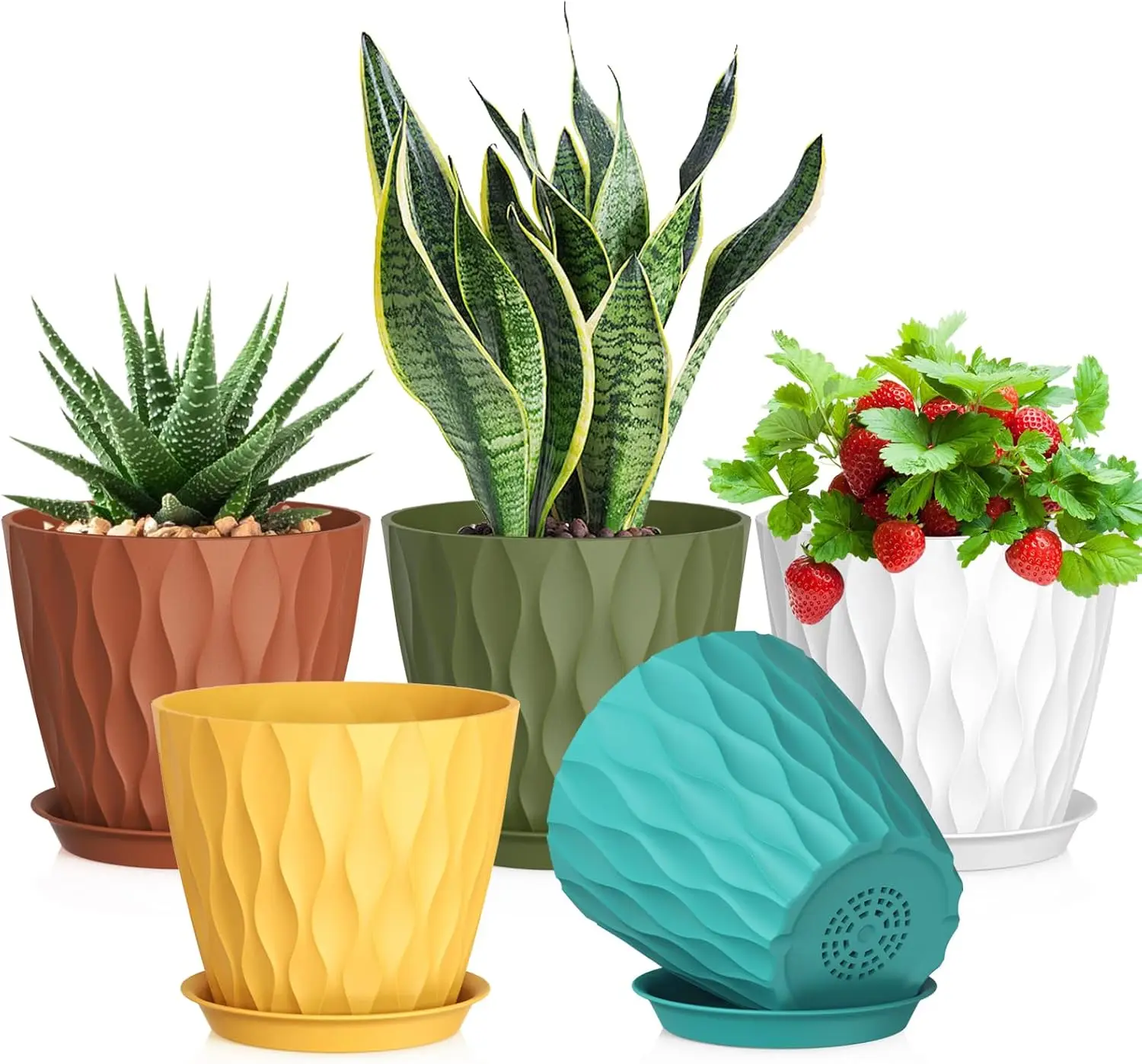 7 inch Plant Pots for Indoor Outdoor, 5 Pack Thick Nursery Pots with Drainage Holes and Saucers, 3D Wave Texture Plastic Planter
7 inch Plant Pots for Indoor Outdoor, 5 Pack Thick Nursery Pots with Drainage Holes and Saucers, 3D Wave Texture Plastic Planter