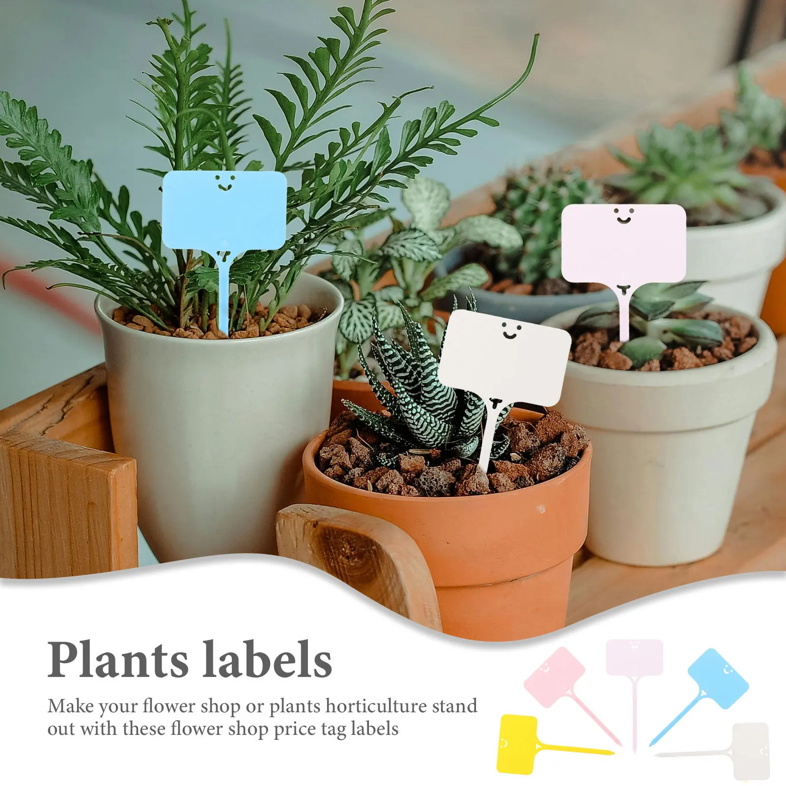 50 шт. цветочные этикетки, пластиковые бирки для растений, садовые маркеры для горшечных растений, колья для этикеток, знаки классификации, садоводство
50 шт. цветочные этикетки, пластиковые бирки для растений, садовые маркеры для горшечных растений, колья для этикеток, знаки классификации, садоводство