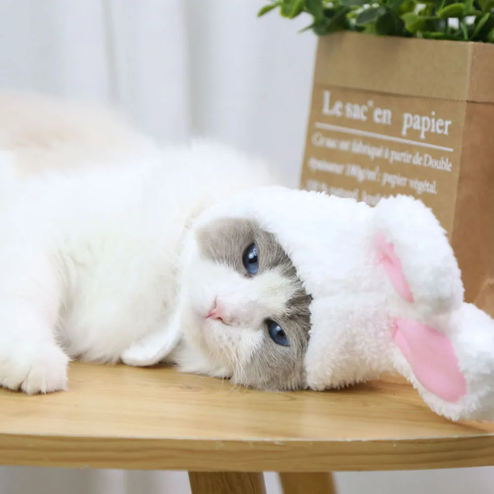 2Pcs Pet Hats Cashmere Material Breathable Cat Bunny Ears Adorable Costume Decorative Kitten Hat Accessory Dog Supplies
2Pcs Pet Hats Cashmere Material Breathable Cat Bunny Ears Adorable Costume Decorative Kitten Hat Accessory Dog Supplies