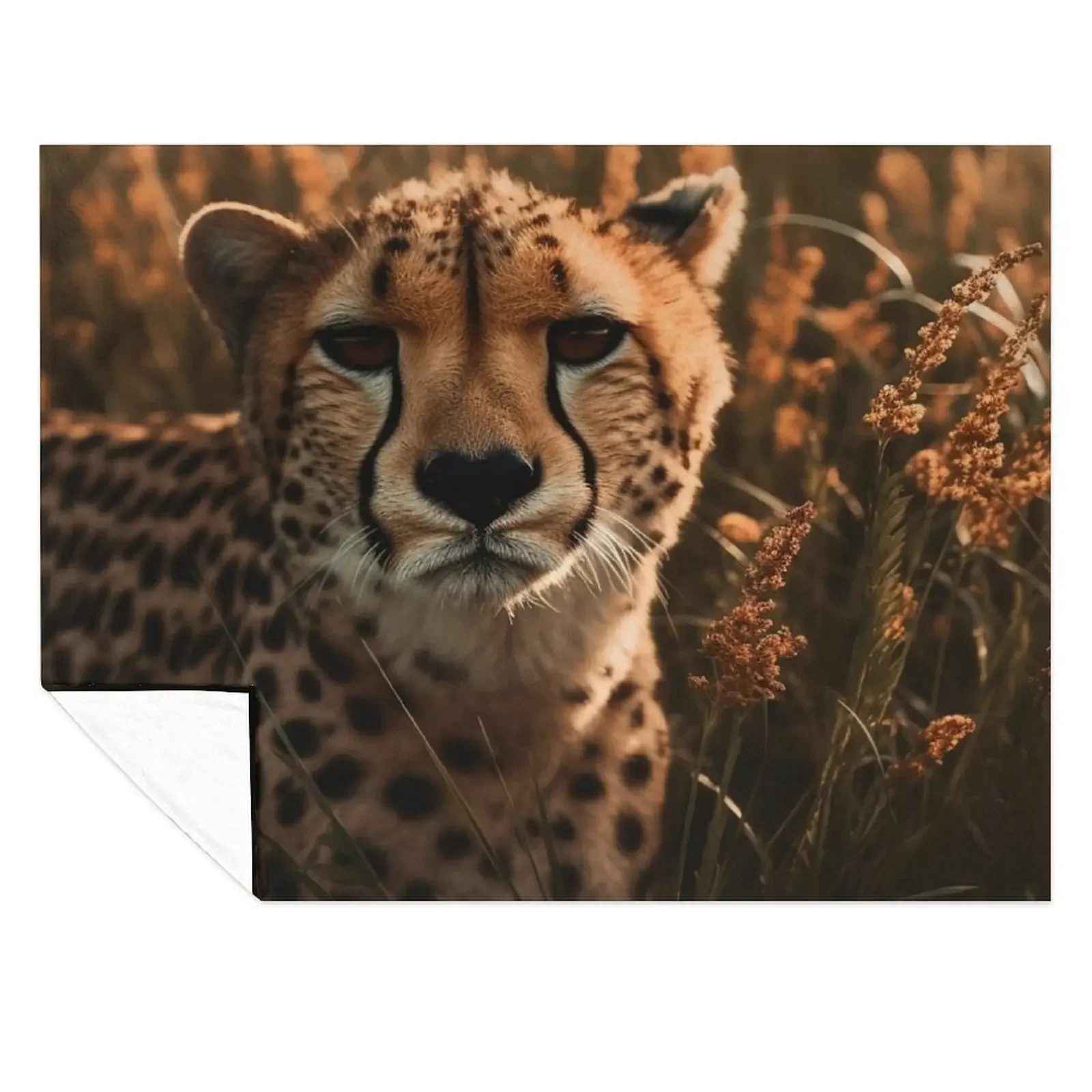 Face of Cheetah Throw Blanket Giant Sofa Travel Blankets For Bed Soft Beds Blankets
Face of Cheetah Throw Blanket Giant Sofa Travel Blankets For Bed Soft Beds Blankets