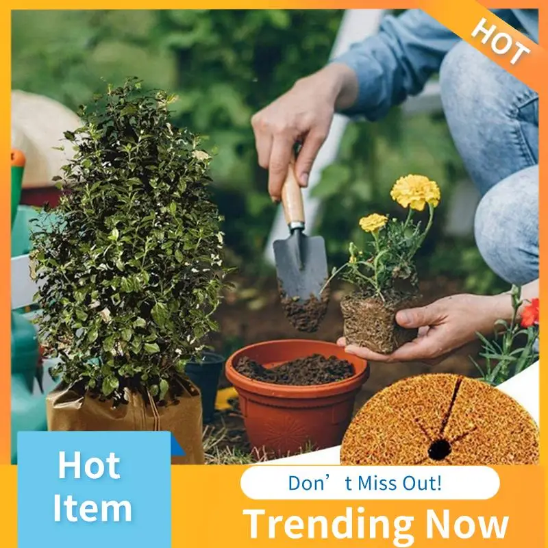 Winter Potted Plant Insulation Bag Warm Sapling Bag Flower Pot Frostproof Warm Cover Plant Frostproof Cover Tool Easy To Use L
Winter Potted Plant Insulation Bag Warm Sapling Bag Flower Pot Frostproof Warm Cover Plant Frostproof Cover Tool Easy To Use L