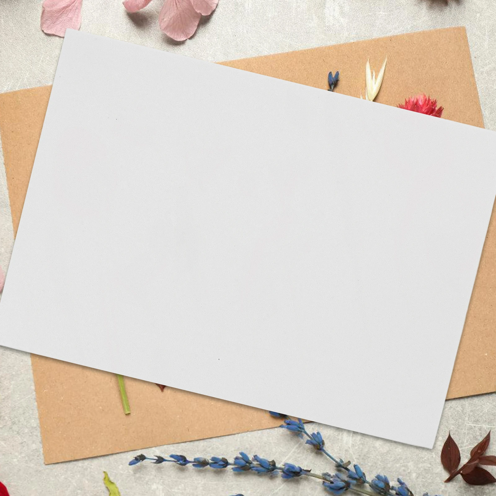 EVA Foam Posture Board 27x19x0.8cm Specimen Mounting Tools Butterfly Display Pose Board for Entomology Pinning Supplies
EVA Foam Posture Board 27x19x0.8cm Specimen Mounting Tools Butterfly Display Pose Board for Entomology Pinning Supplies
