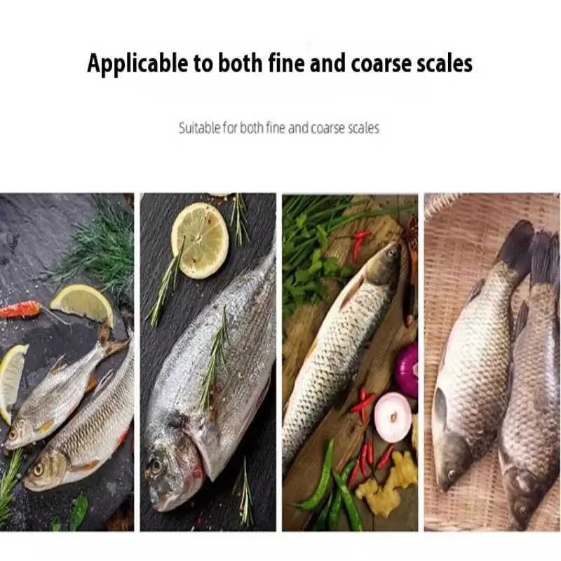 2pcs/set Stainless Steel Fast Cleaning Fish Peeler Scale Remover Seafood Cracker Fish Scaler Cleaner Planet Skin Brush Scraper T
2pcs/set Stainless Steel Fast Cleaning Fish Peeler Scale Remover Seafood Cracker Fish Scaler Cleaner Planet Skin Brush Scraper T