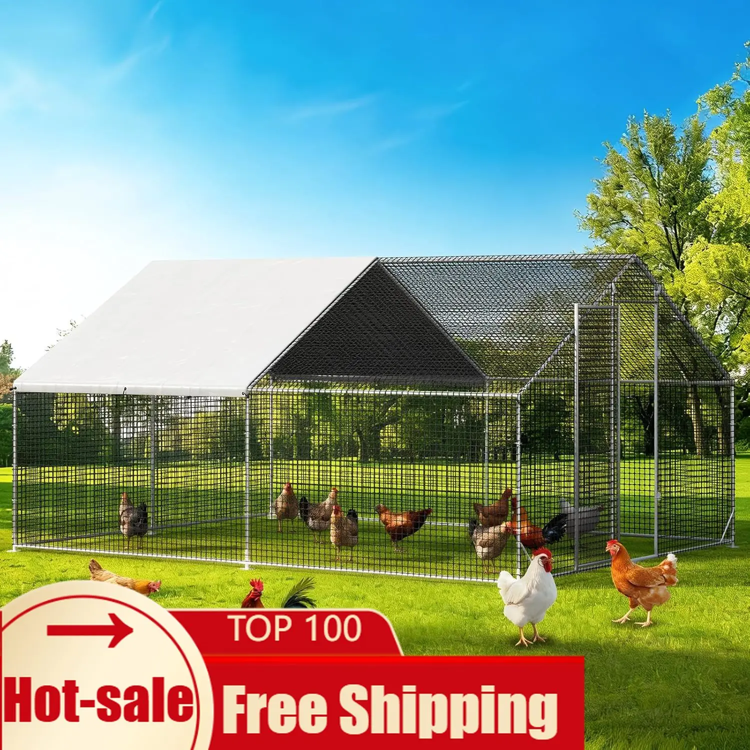 Large Walk in Chicken Coop with Chicken Run Galvanized Poultry Enclosure with Waterproof Anti UV Cover and Security Lock Ideal
Large Walk in Chicken Coop with Chicken Run Galvanized Poultry Enclosure with Waterproof Anti UV Cover and Security Lock Ideal
